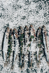 Pile of salted fish and rosemary  on surface covered by salt
