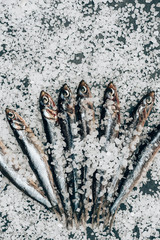 Pile of salted fish on surface covered by salt