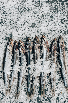 Top view of pile of salted fish and on surface covered by salt