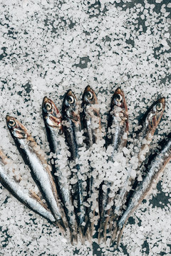 Pile of salted fish on surface covered by salt