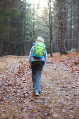 Fototapeta premium Child boy walking on a forest path. Back view
