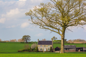 Obraz premium Classic English country cottage farmhouse. Idyllic countryside house.