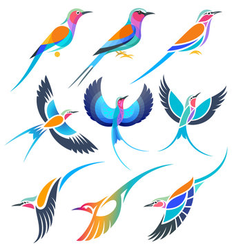 Set of Stylized Birds - Lilac-breasted Roller in different styles 