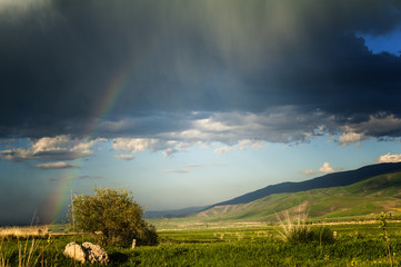 Rainbow at the grassland, Xinjiang of China