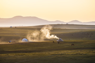 The morning at the grassland, Xinjiang of China