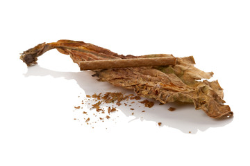 Dried leaf of tobacco with cigarette.