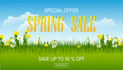 Spring sale banner with field. Spring flowers with grass