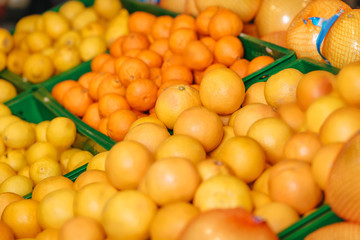close up view of arranged citrus fruits in grocery shop