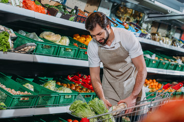 male shop assistant in apron arranging fresh vegetables in grocery shop