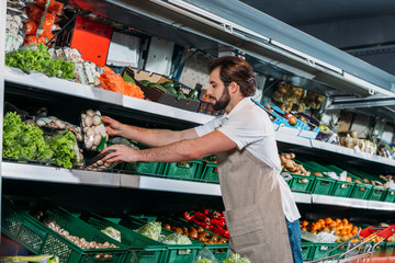 male shop assistant in apron arranging fresh vegetables in grocery shop