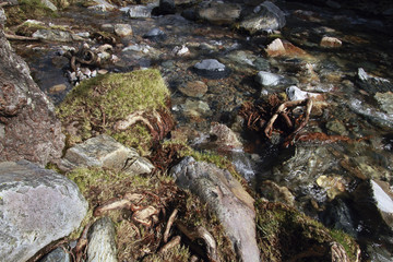 Cauce del río Batuecas, La Alberca, Salamanca, España