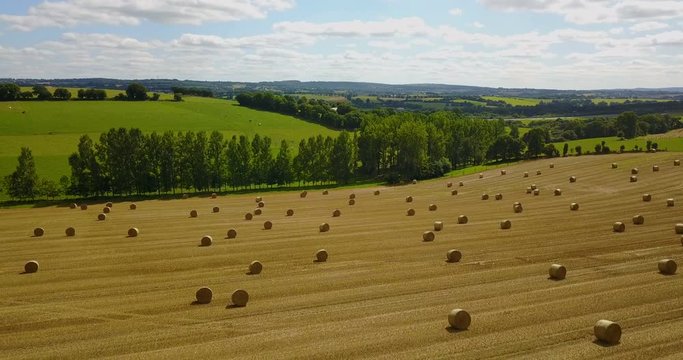 Field with hay bales in Brittany