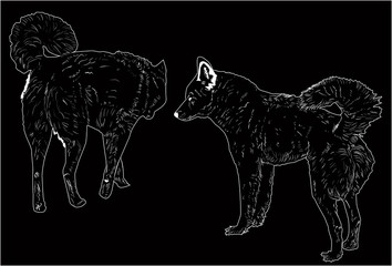 two dog sketches isolated on black