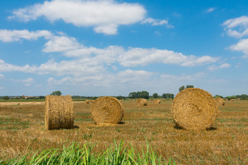 Typical landscape of the Emporda in Catalonia, Spain.