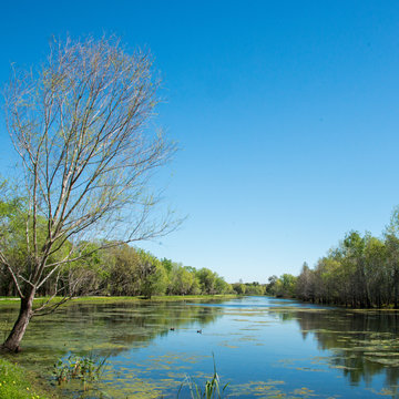 Brazos Bend State Park, Texas