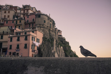 the italian city of Manarola