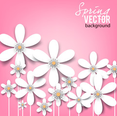 Beautiful background with white spring flowers
