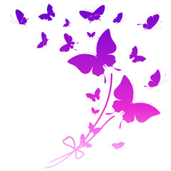 Naklejka na ściany i meble beautiful pink butterflies, isolated on a white