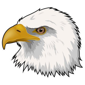 Mascot Head of Eagle Isolated on white background. Vector illustration