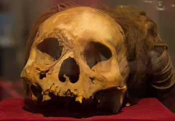 Obraz premium skull with long hair