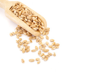 pearls barley grain seed on background
