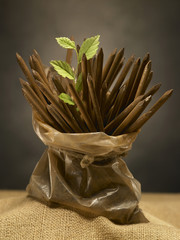 rusty nails bag with green sprout on a dark background - rebirth concept