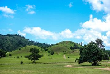 Grass mountain