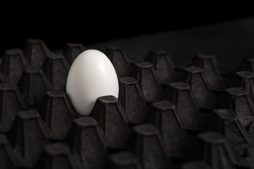 white egg in a tray