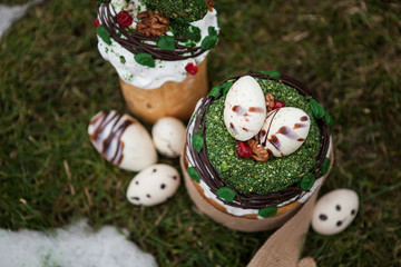 Easter cake in eco-style decorated with chocolate eggs in a nest on the background of spring grass and snow