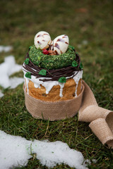 Easter cake in eco-style decorated with chocolate eggs in a nest on the background of spring grass and snow