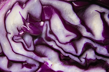 Obraz premium Texture of purple cabbage macro