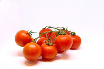 Ripe Fresh Cherry Tomatoes on Branch Isolated on White Background