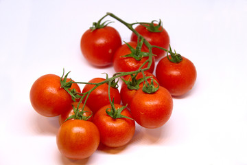 Ripe Fresh Cherry Tomatoes on Branch Isolated on White Background