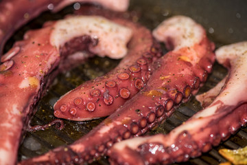 Octopus, tentacles of octopus © 26max