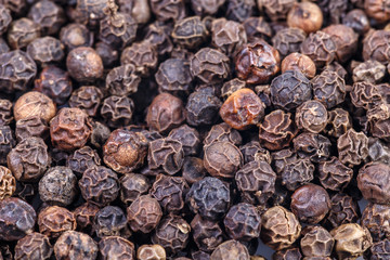 Scattered pea black hot pepper closeup