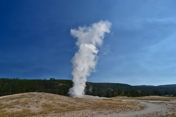 Amazing geyser's eruption in Old Faithfull, Yellowstone.