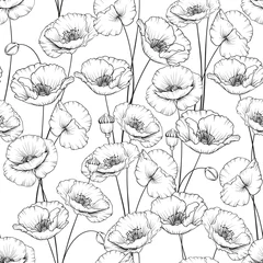 Fotobehang Klaprozen Patroon van papaver bloemen op een witte achtergrond. Vector illustratie.
