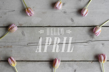 top view of pink tulips on vintage wooden ground, with text hello april
