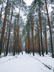 man on a road in winter snow forest