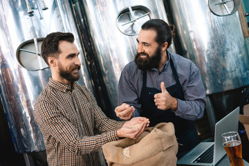 Two adult bearded men check quality of barley malt while in brewery. Process of beer manufacturing.