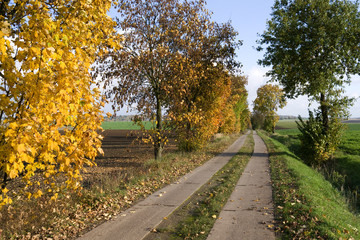 Altenburg / Germany: Autumnal walking tour on the Martin Luther pilgrimage path between Oberloedla and Steinwitz