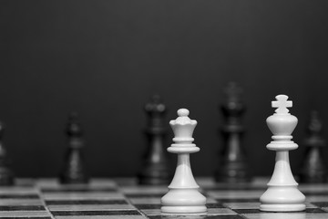 Scacchi fotografati su una scacchiera