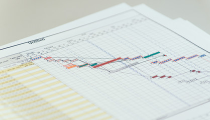 Planning 4D report schedule