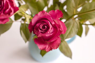 Beautiful bouquet of roses