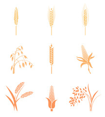 Wheat Ears Icons and Logo Set.