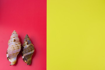Marine items. Art concept. Red and yellow backgrond.  Free space for designers