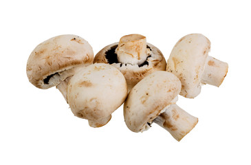 close-up group of five mushrooms Champignons