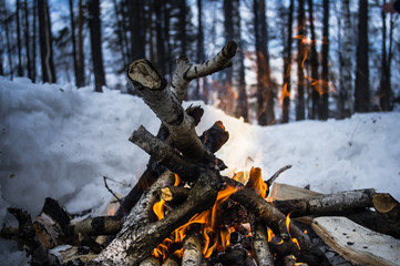 a bonfire in the open air