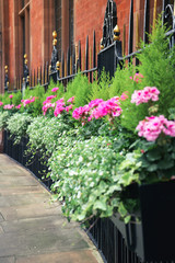 Exterior decoration by plants