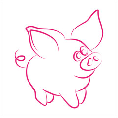 funny piggy. vector